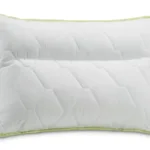 Perna anatomica Aloe Vera