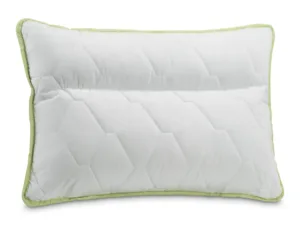 Perna anatomica Aloe Vera