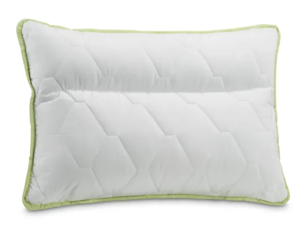 Perna anatomica Aloe Vera