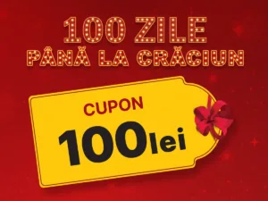 CUPON 100 DE ZILE PÂNĂ LA CRĂCIUN