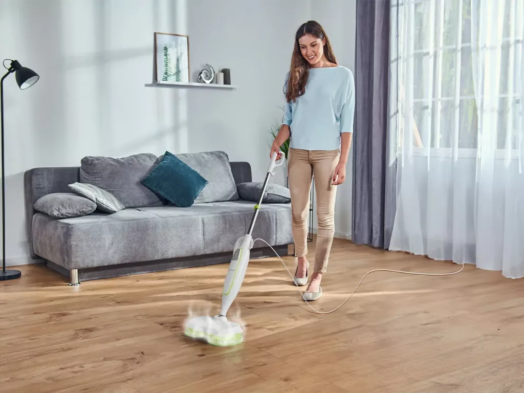 Паровая швабра Rovus